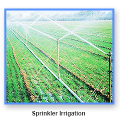 ditch feed linear irrigation system