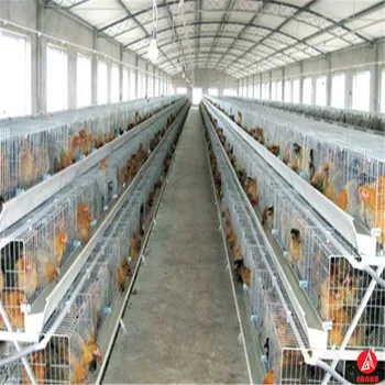 Cheap Chicken Laying Cage/layer Egg Chicken Cage/poultry ...