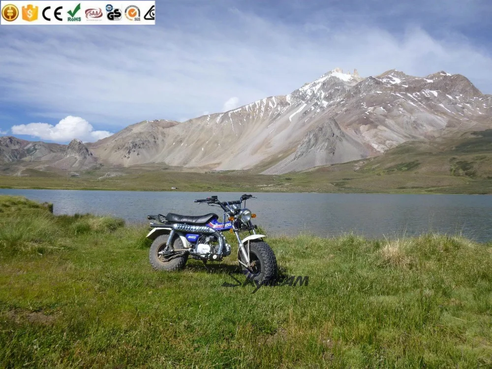 
SKYTEAM T-REX 50cc 4 stroke on road motorcycle (EEC approved, 5.5-10