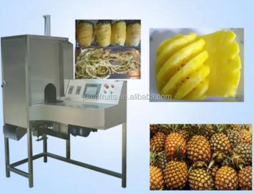 Decoupe Fruit,Éplucheur d'ananas en acier inoxydable, Portable