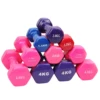 Custom Vinyl Dumbbells Set Coated Hand Weights for Strength Training