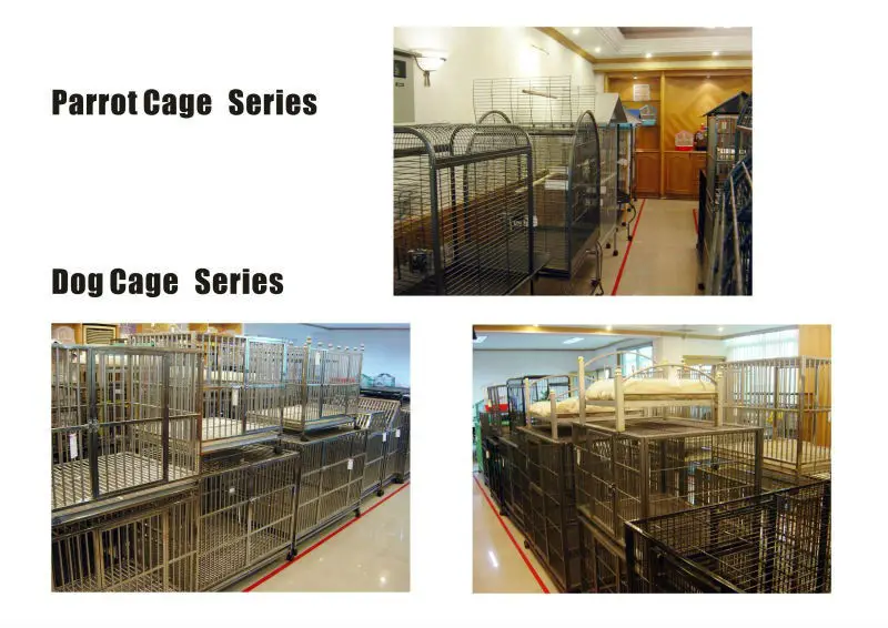 Wooden Foldable Pigeon transport cage breeding cage with 5 Different Sizes