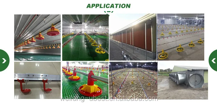 poultry equipment (2)