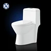 High Efficiency Watersense One-Piece Popular Design Bathroom Ceramic One Piece S-Trap Sanitary Ware