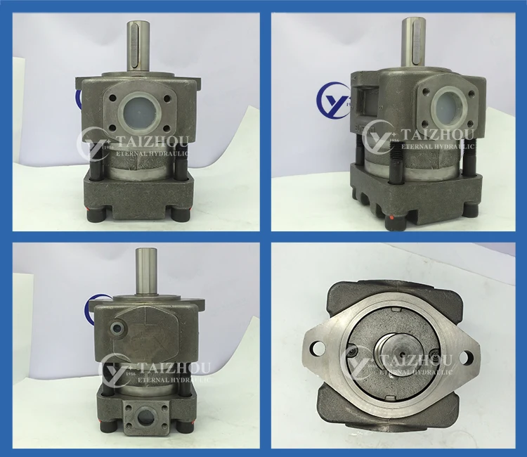 Qt2 Qt3 Qt4 Qt5 Qt6 Qt42-25 Hydraulic Medium Pressure Type Oil Pump Japan  Sumitomo Qt Internal Gear Pump For Industrial Machine - Buy Sumitomo Qt  Internal Gear Pump Qt2 Qt3 Qt4 Qt5