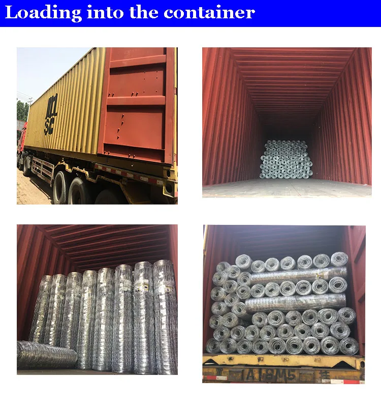Loading into the container.jpg