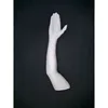 PVC Inflatable Display Mannequin Hand, Plastic PVC Mannequin