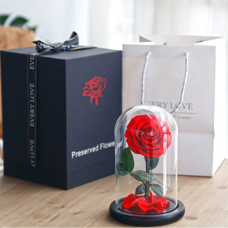 rose-in-glass-globe.jpg