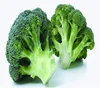 Hot sale healthy freeze dried vegetable freeze dried broccoli