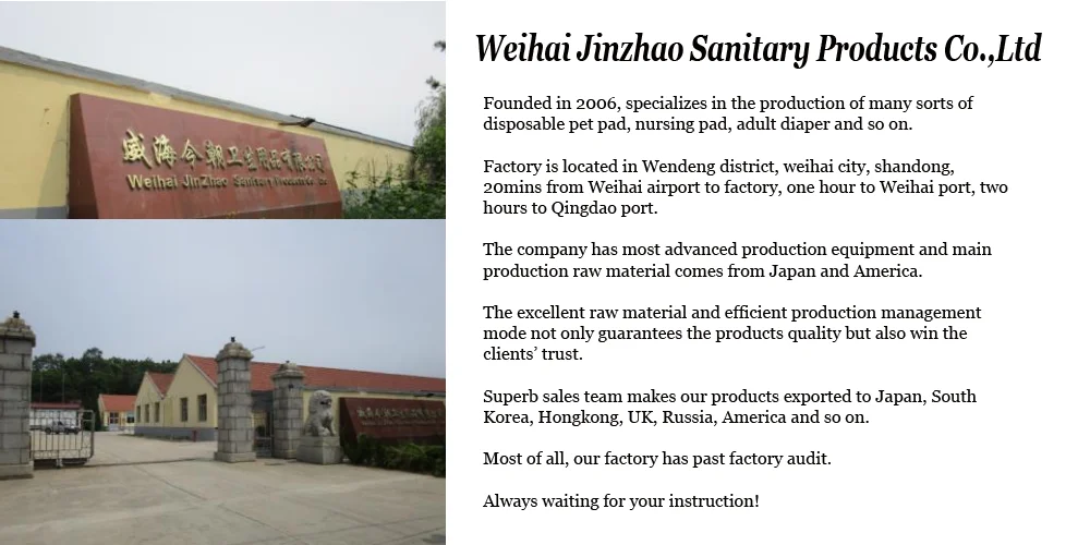 company introduction1.png