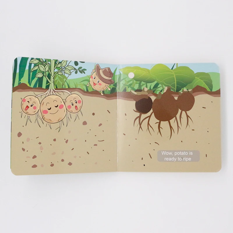 
Motivational audio coloured books with music voice buttons 