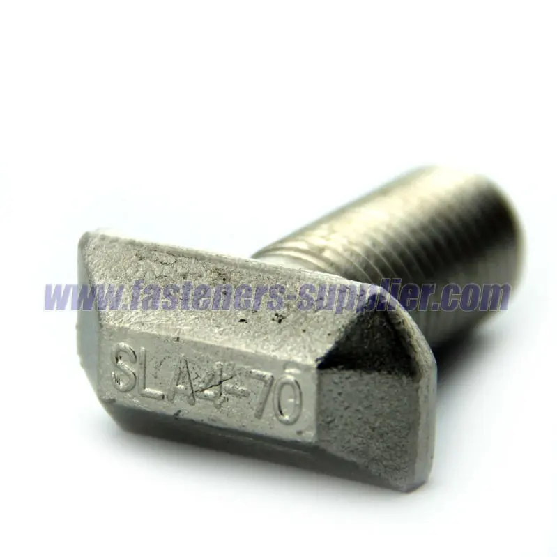 
Stainless Steel Square Neck T-head Bolts 