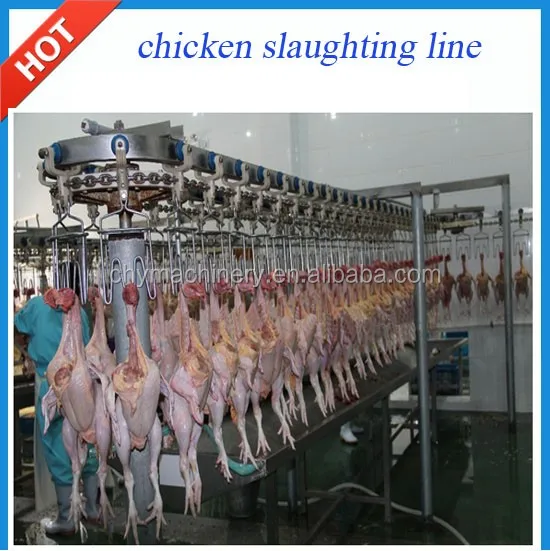 Équipement De Traitement Du Bétail À Poulet,2 Pièces,Équipement D'abattoir  - Buy Équipement D'abattage De Volaille Pour Abattoir De Poulet Product On  Alibaba.com