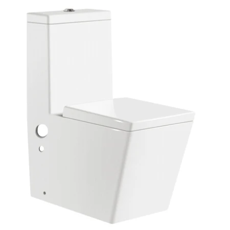 Wholesalers china New economic Sanitary Ware Washdown portable luxury bathroom toilet with one piece