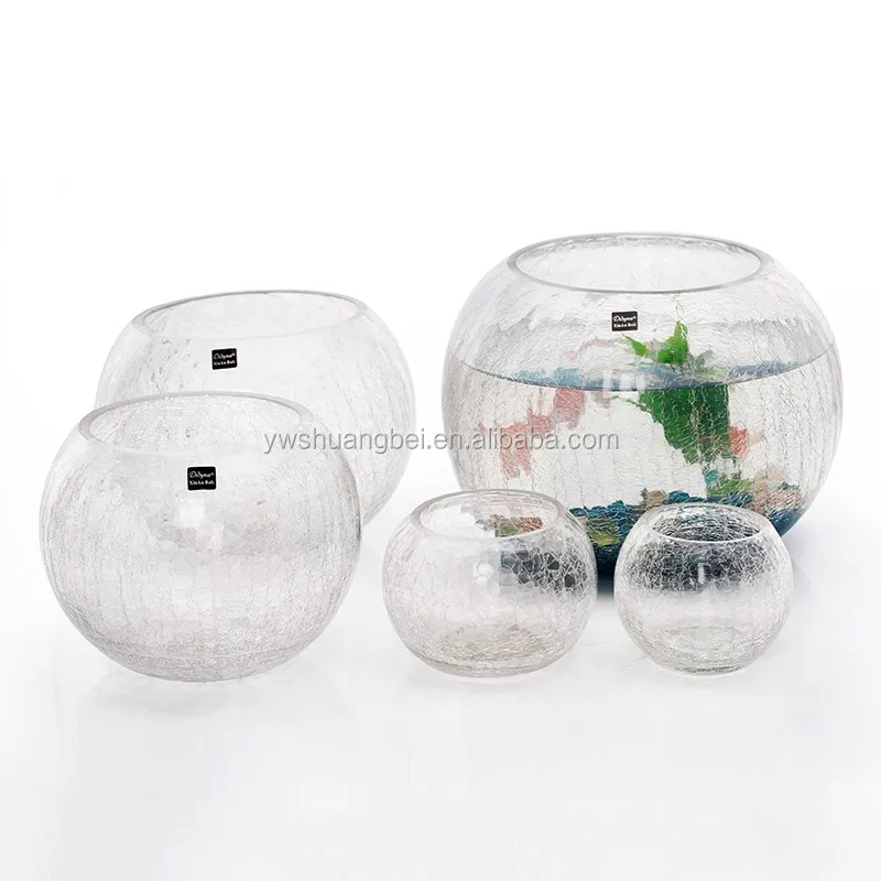 Five Type Circular Aquariums Glass Fish Bowl Round Tank Multifunctional