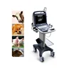 Veterinary purpose vet doppler color ultrasound for small and large animals SonoScape S2V