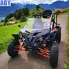 AGY 200cc utv vehicle