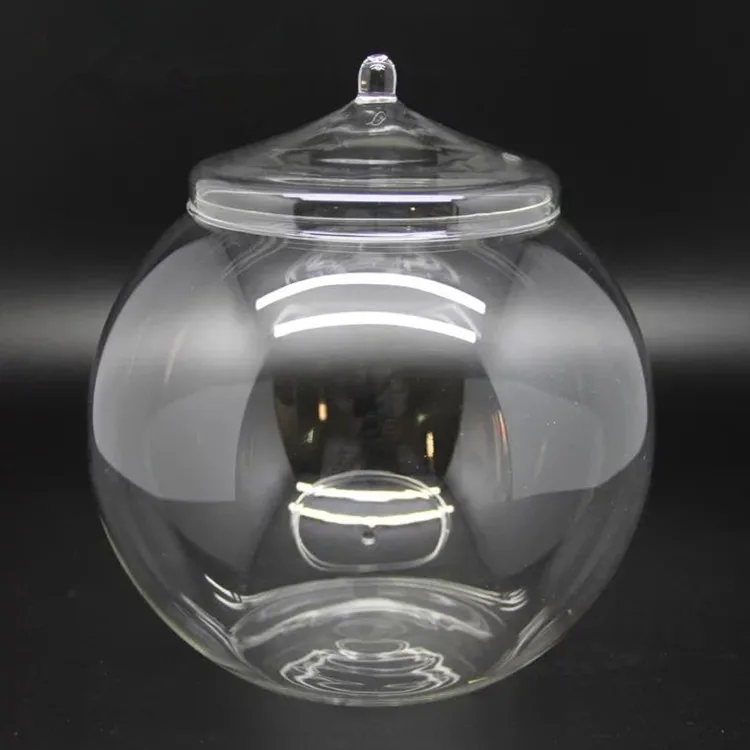 
Hot selling wholesale indoor plant glass terrarium with glass cap 