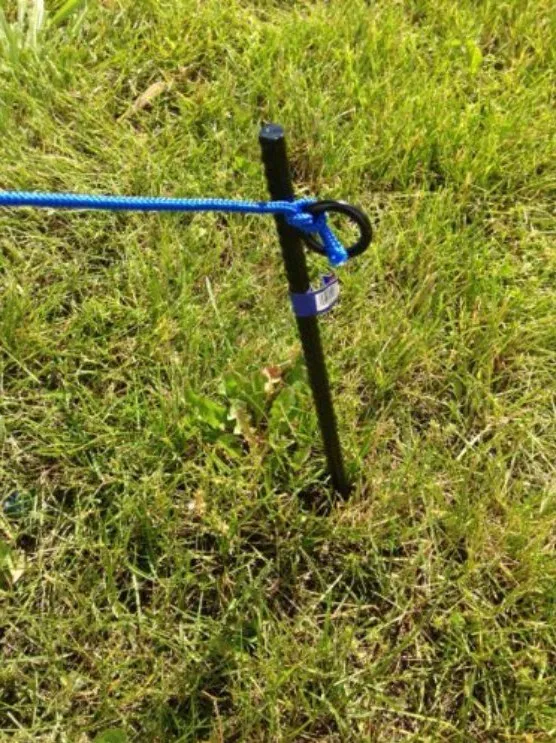 18" Canopy Stake Rebar Metal Stake With Loop Buy Rebar Stakes,Rebar Stake With Loop,Canopy