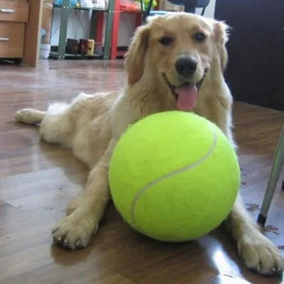 

9.5inch Inflatable Tennis Ball Chew Toy Signature Kids Toy Ball Giant Dog Toy Ball, N/a
