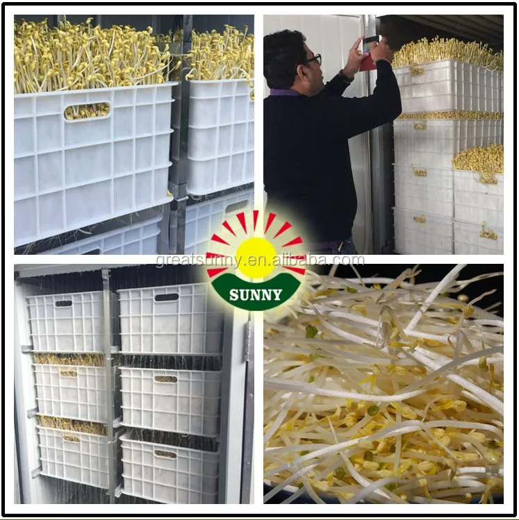 
Ozone sterilization /bean sprout growing machine /automatic mung bean sprout machine 