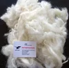 animal hair / raw sheep wool for sale washing raw wool
