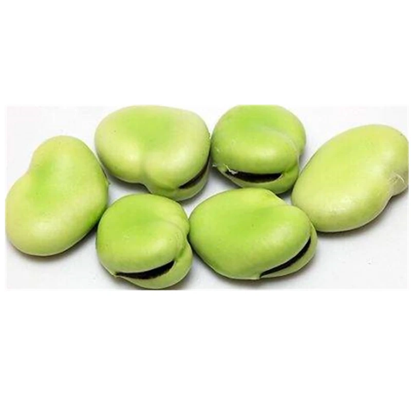 
IQF frozen broad beans with best quality and hot price 