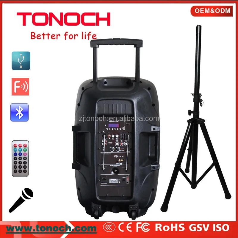 15 inch battery speaker back.jpg