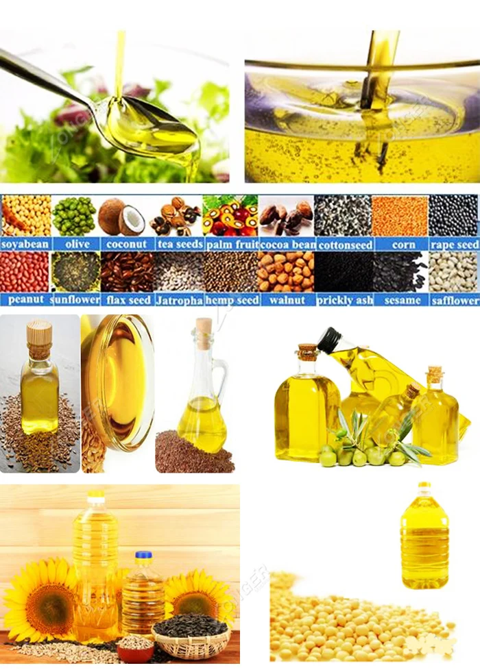 Automatic South Africa Cold Olive Oil Extraction Machine Sunflower