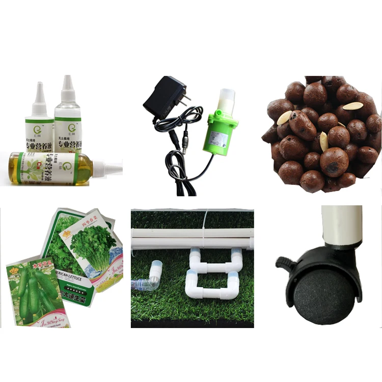 vertical hydroponics4.jpg