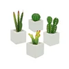 Hot sale desktop artificial potted plants cactus plants mini artificial cactus