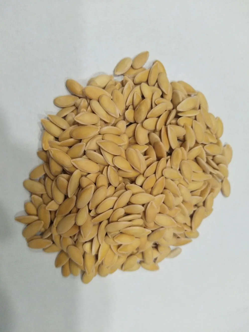 hybrid yellow skin sweet melon seeds for planting hami melon