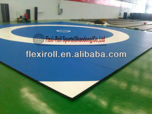 Hot Sale Dollamur Flexi Roll Tatami Jiu-jitsu Mats / Mma Judo Mat - Buy ...