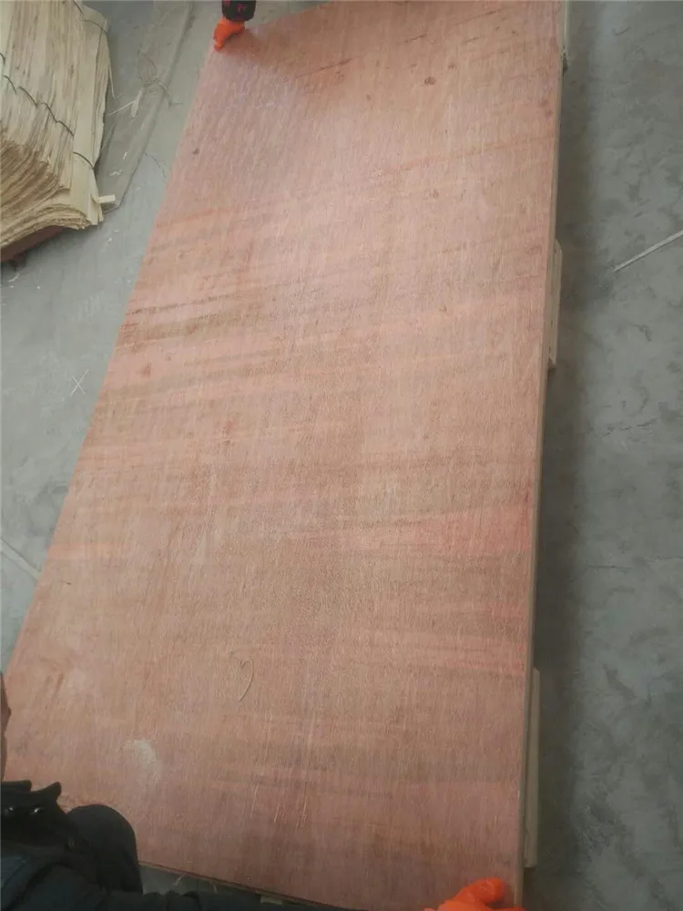 mmexport1515910999705.jpg