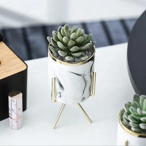 Image of Ins gold-plated wrought flower pots marble pot iron frame ceramic pots hydroponic pots green plant vases