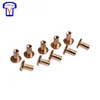 OEM Electronic Components Supplies Brass Contact Points Rivet Composite Contact