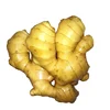 2018 chinese fresh ginger on sales
