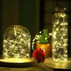 10m 100 LEDS LED Copper String Fairy Light Room for Decoration