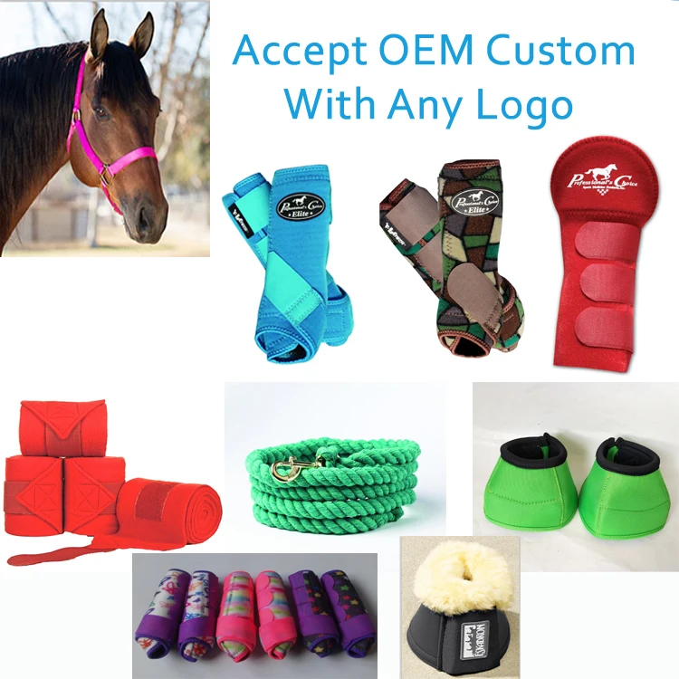 Equine Products/equestrian Products/horse Products Buy Horse