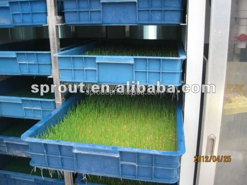 
Hydroponics Animal Fodder Machine Fodder sprouting machine/barley grass growing machine /Animal fodder making machine 