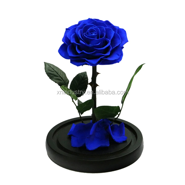 Factory Mothers Valentines Day Rose Flower Gifts Box Preserved Real