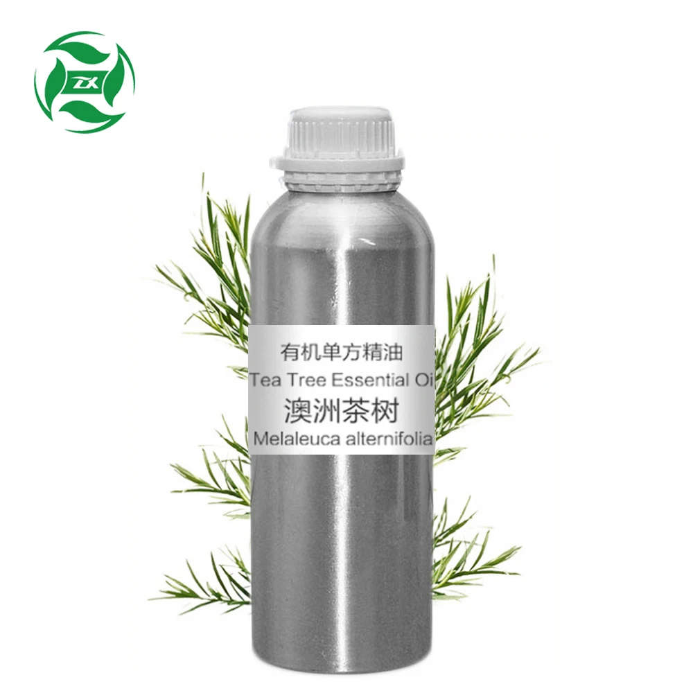 

100% pure natural Australian tea tree oil price in bulk aelaeuca alternifoli
