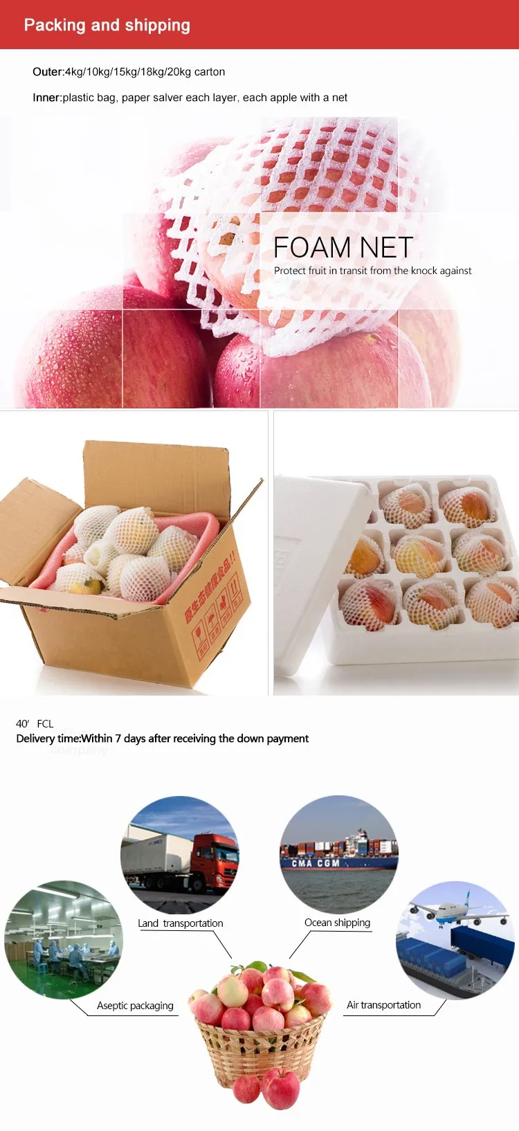 2020 new harvest chinese fresh Qinguan apple