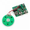 Programmable recording voice module for birthday greeting card