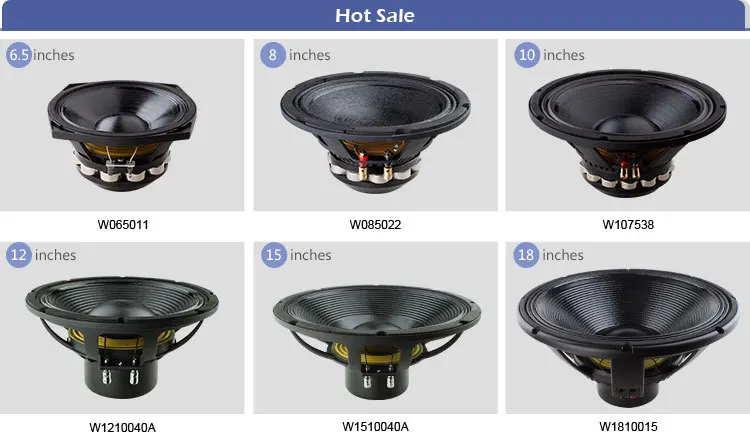 10 inch ahuja speaker price