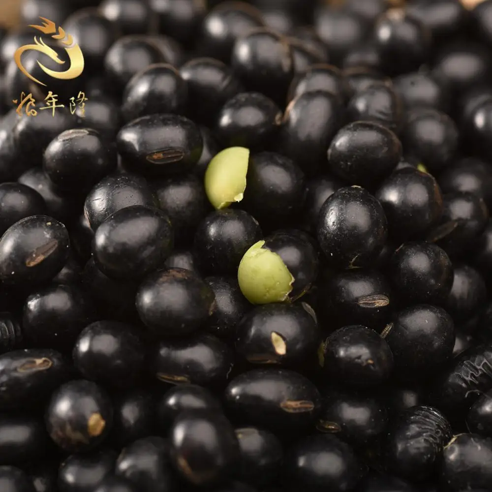 
Origin natural dried bulk small black bean price turtle bean with green kernel 
