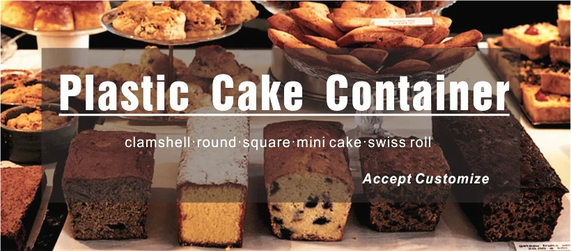 plastic cake container.jpg
