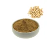 High Quality Pinus Pinaste Extract/Pine Nut Extract Powder