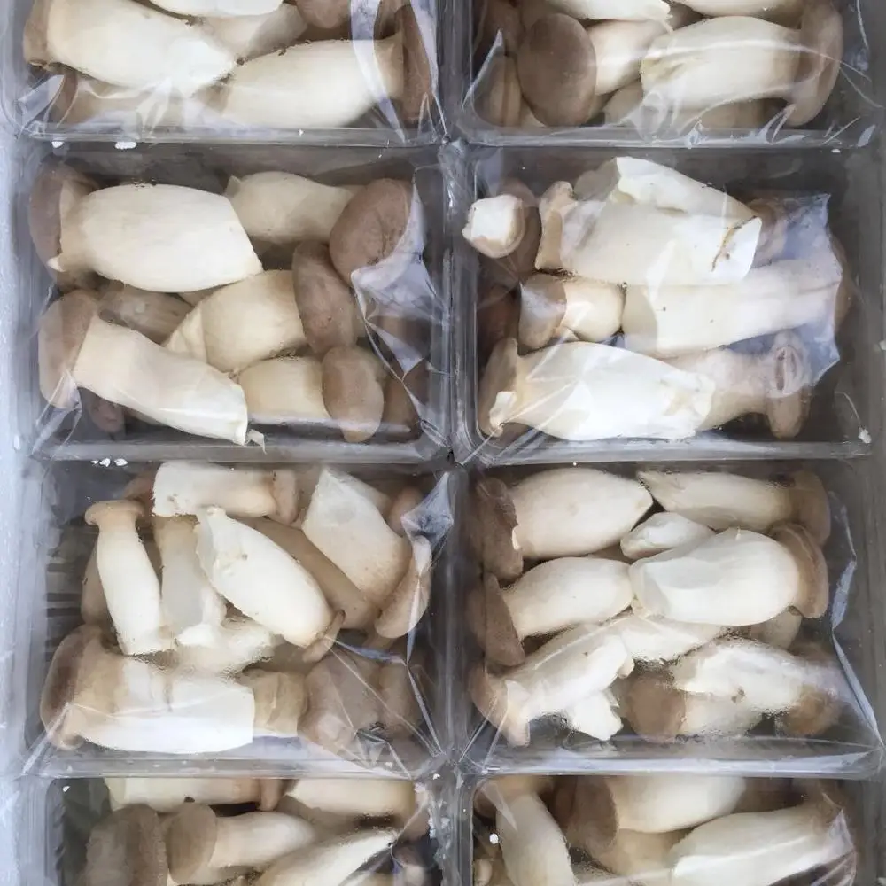 
Detan Pleurotus Eryngii Fungi Fresh 