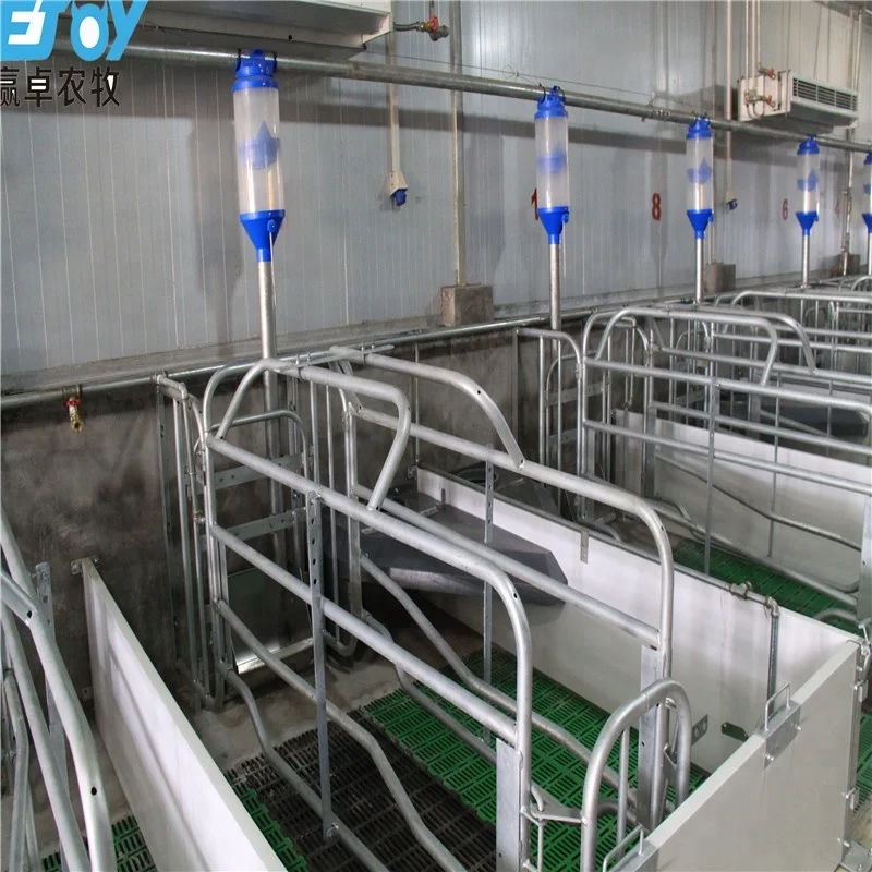 Professional Designed Environmental Controlled Prefab Pig House Buy